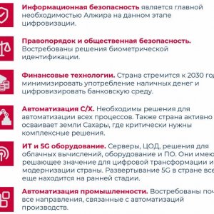 Рис. 2. Перспективные ниши ИТ-рынка Алжира для российских компаний. Источник: Торгпредство РФ в Алжире, январь 2025 г.