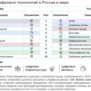 Рис. 1.Топ-10 цифровых технологий в России и мире