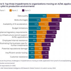           (: WEKA 2024 Global Trends in AI)