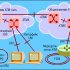 Технология АТМ: от тестовых испытаний к промышленным сетям