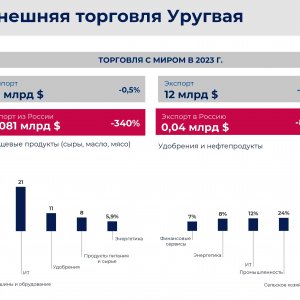 Рис. 2. Вклад ИТ в экспорт и импорт Уругвая.jpg. Источник: Вебинар Минпромторга РФ и Торгпредства России в Аргентине, ноябрь 2024 г.