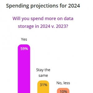 Источник: отчет Komprise «2024 State of Unstructured Data Management»