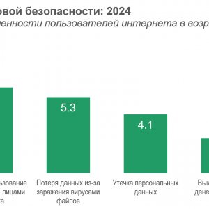 Рис. 1. Проблемы цифровой безопасности: 2024 (в % от общей численности пользователей интернета в возрасте от 14 лет и старше). Источник ИСИЭЗ НИУ ВШЭ