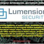 Lumension пробилась на рынок с идеей, основанной на том, что базирующиеся на сигнатурном анализе антивирусы не обеспечивают полную защиту.  Компания помогает партнерам продавать набор интеллектуальных белых списков, которые наряду с антивирусом и ПО для уп