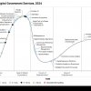 Gartner Hype Cycle   :  ,       