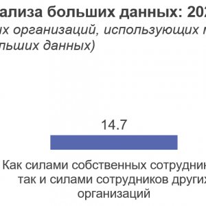 Рис. 4. Способы проведения анализа больших данных: 2023 (в % от числа обследованных организаций, использующих массивы больших данных и проводящих аналитику больших данных). Источник ИСИЭЗ НИУ ВШЭ