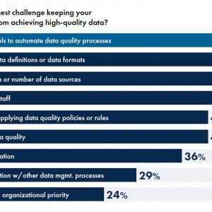 Источник: отчет Precisely «2025 Outlook: Data Integrity Trends and Insights»