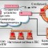 IBM, Bay и 3Com приносят клятву верности