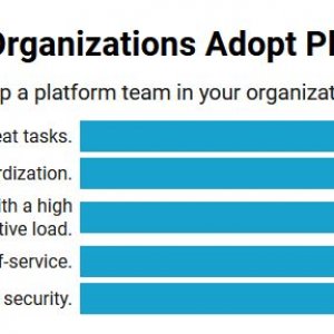 Источник: отчет Gitpod и Humanitec “State of Platform Engineering Report, Vol. 3”