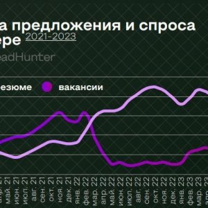 Рис. 1. Источник: Исследование РАЭК «Экономика Рунета», май 2024 г.