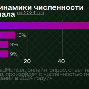 рис. 2. Источник: Исследование РАЭК «Экономика Рунета», май 2024 г.