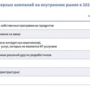 Рис. 2. Структура продаж софтверных компаний на внутреннем рынке. Источник: РУССОФТ, июнь 2024 г.