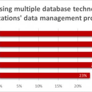 Источник: отчет Redgate «2024 State of Database Landscape»