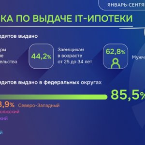 Рис. 1. Аналитика по выдаче ИТ-ипотеки