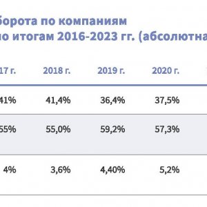 Рис. 3. Распределение совокупного оборота по компаниям с разными моделями бизнеса. Источник: РУССОФТ, июнь 2024 г.