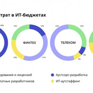 Рис. 1. Структура затрат в ИТ-бюджетах