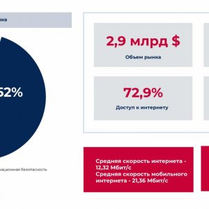 Рис. 1. Структура ИТ-рынка Алжира. Источник: Торгпредство РФ в Алжире, январь 2025 г.